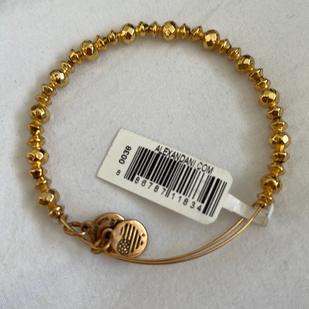Alex and Ani Canyon Bracelet. Brand new received as a gift. 
#AlexandAni #BNWT